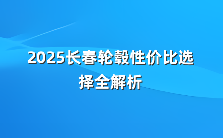 2025长春轮毂性价比选择全解析