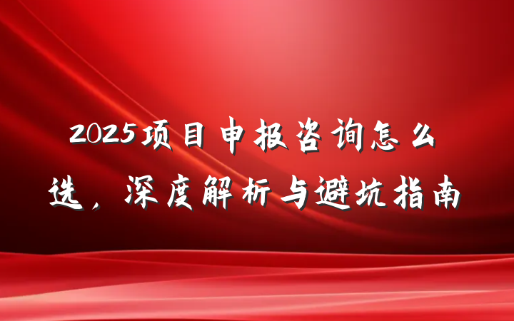 2025项目申报咨询怎么选,深度解析与避坑指南