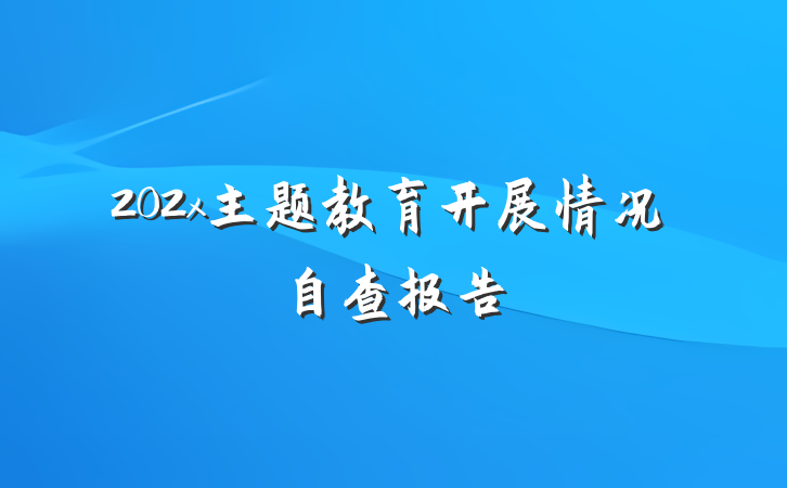 202x主题教育开展情况自查报告
