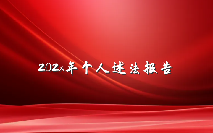 202x年个人述法报告
