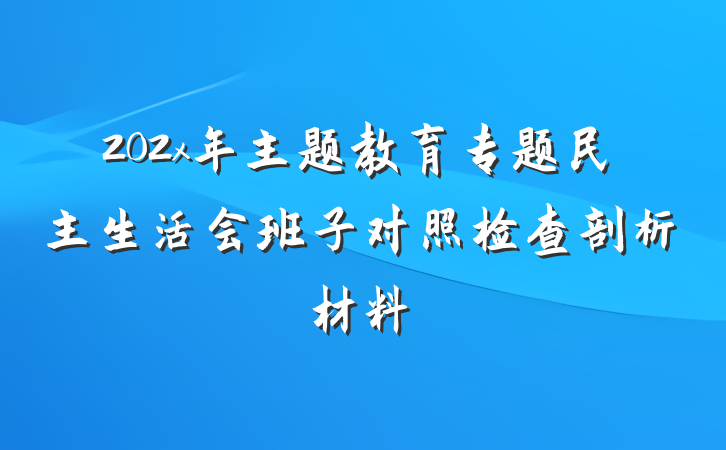 202x年主题教育专题民主生活会班子对照检查剖析材料