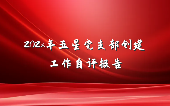 202x年五星党支部创建工作自评报告