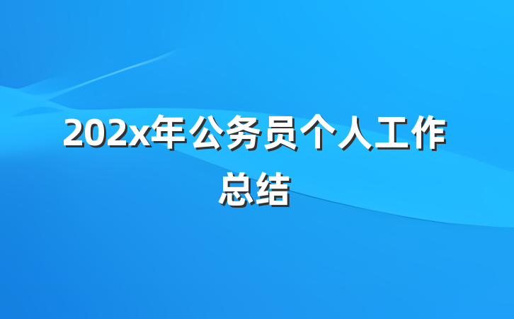 202x年公务员个人工作总结