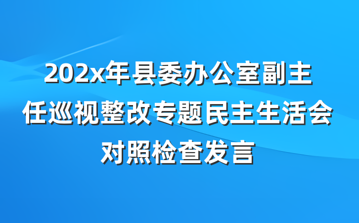 202x年县委办公室副主任巡视整改专题民主生活会对照检查发言