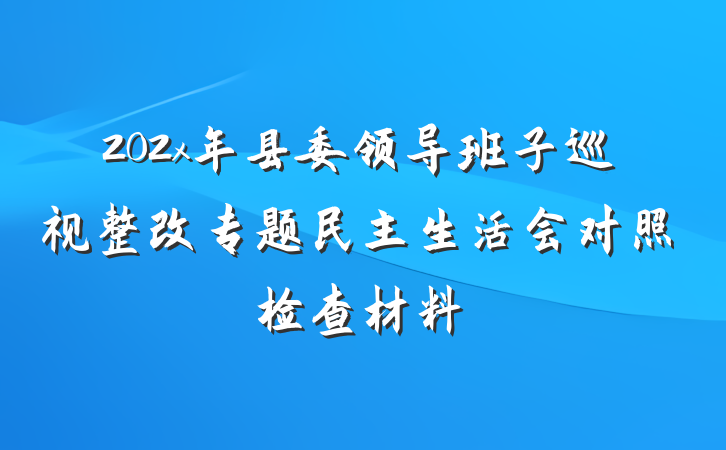 202x年县委领导班子巡视整改专题民主生活会对照检查材料