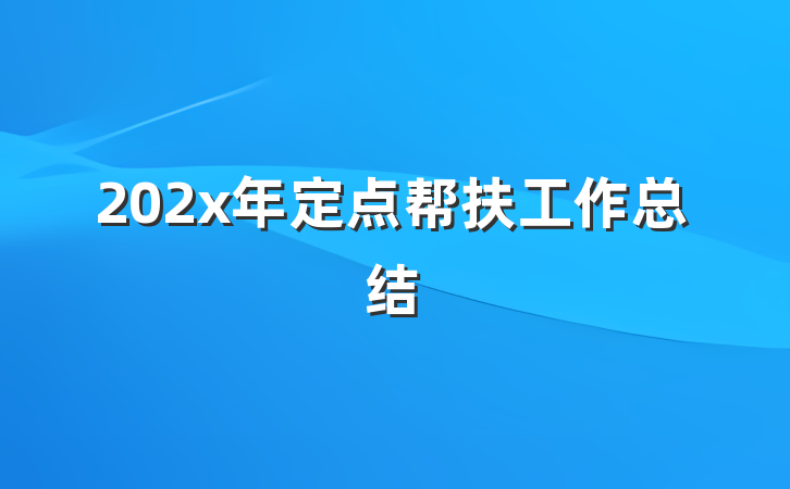 202x年定点帮扶工作总结