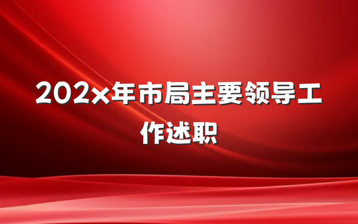 202x年市局主要领导工作述职