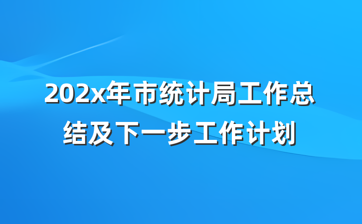 202x年市统计局工作总结及下一步工作计划