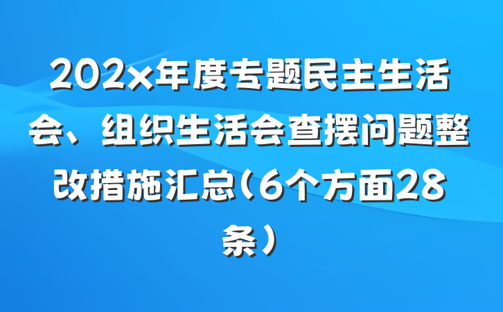 202x年度专题民主生活会、组织生活会查摆问题整改措施汇总（6个方面28条）