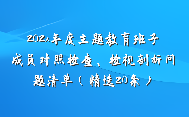 202x年度主题教育班子成员对照检查、检视剖析问题清单（精选20条）