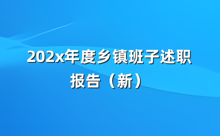 202x年度乡镇班子述职报告(新)