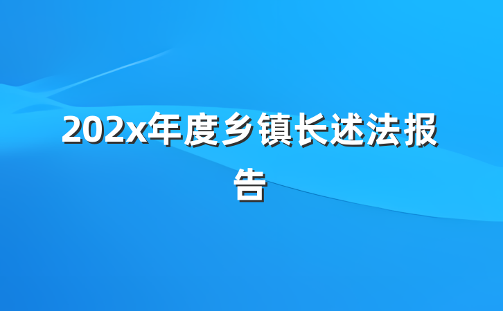 202x年度乡镇长述法报告