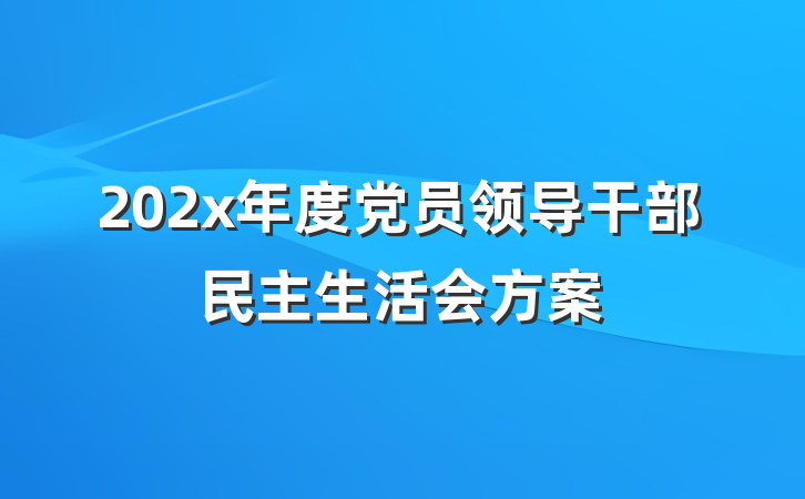202x年度党员领导干部民主生活会方案