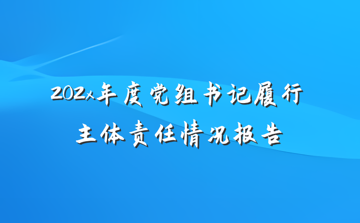 202x年度党组书记履行主体责任情况报告