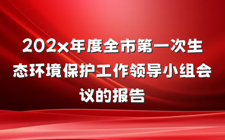 202x年度全市第一次生态环境保护工作领导小组会议的报告