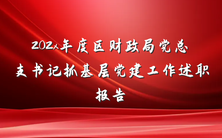 202x年度区财政局党总支书记抓基层党建工作述职报告
