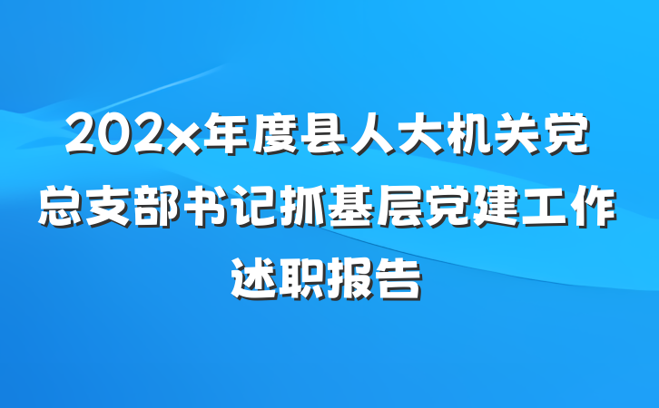 202x年度县人大机关党总支部书记抓基层党建工作述职报告