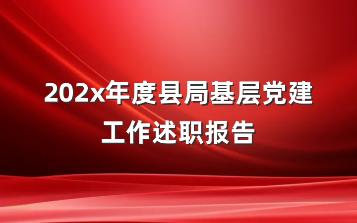 202x年度县局基层党建工作述职报告