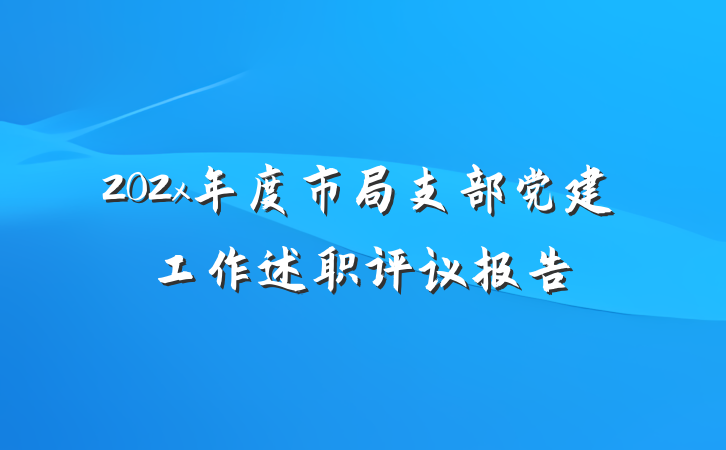 202x年度市局支部党建工作述职评议报告