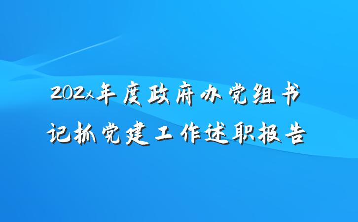 202x年度政府办党组书记抓党建工作述职报告