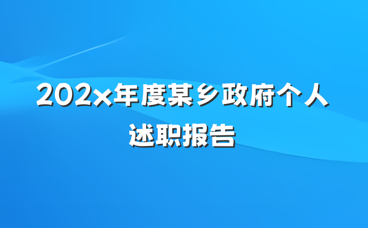 202x年度某乡政府个人述职报告
