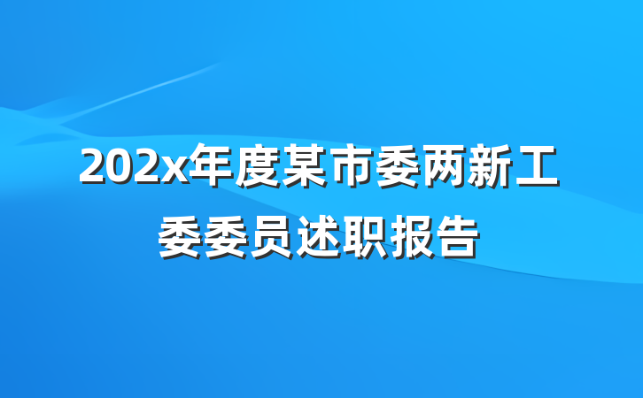 202x年度某市委两新工委委员述职报告