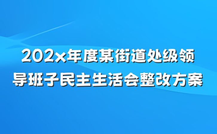 202x年度某街道处级领导班子民主生活会整改方案