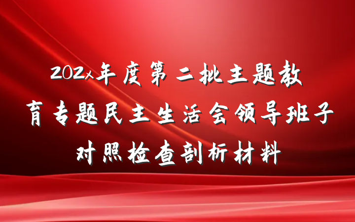 202x年度第二批主题教育专题民主生活会领导班子对照检查剖析材料