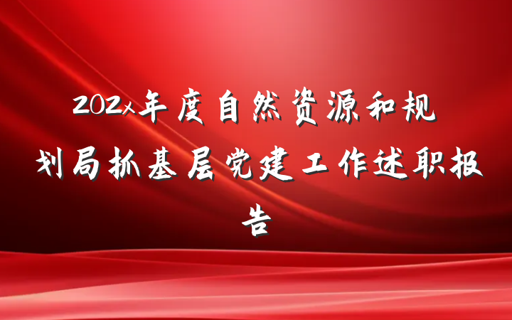 202x年度自然资源和规划局抓基层党建工作述职报告