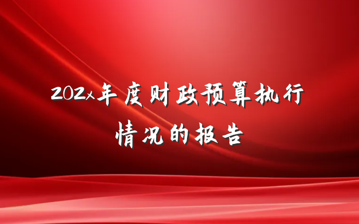 202x年度财政预算执行情况的报告
