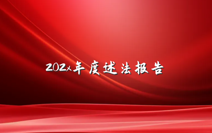 202x年度述法报告