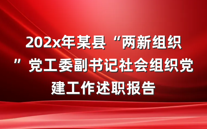 202x年某县“两新组织”党工委副书记社会组织党建工作述职报告