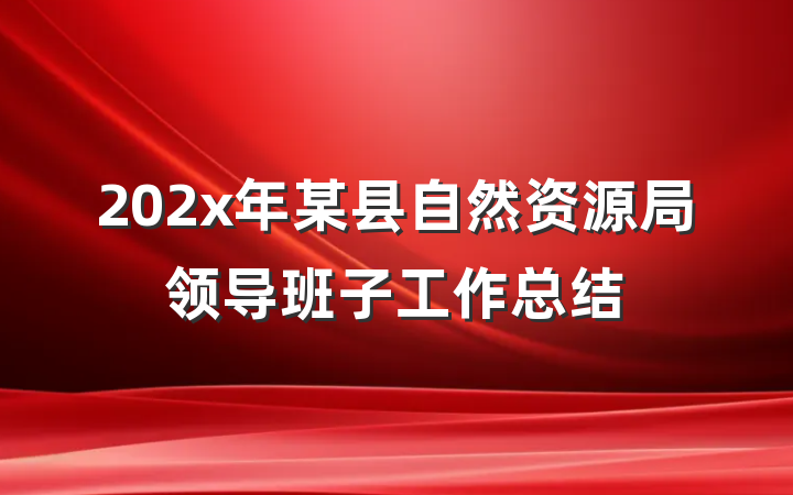 202x年某县自然资源局领导班子工作总结