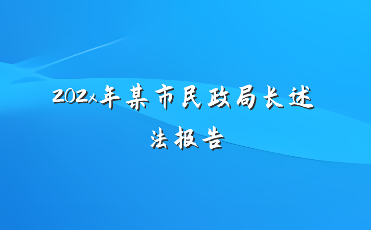 202x年某市民政局长述法报告