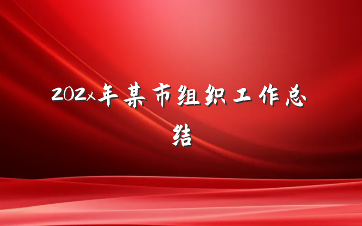 202x年某市组织工作总结