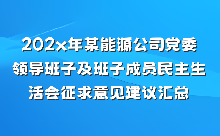 202x年某能源公司党委领导班子及班子成员民主生活会征求意见建议汇总