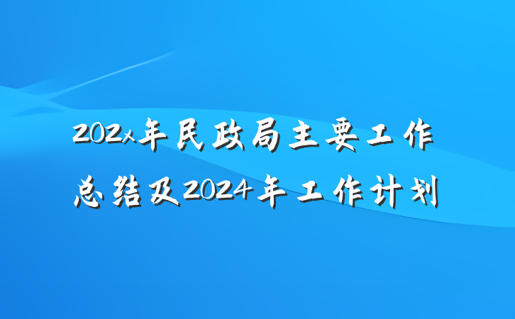 202x年民政局主要工作总结及2024年工作计划