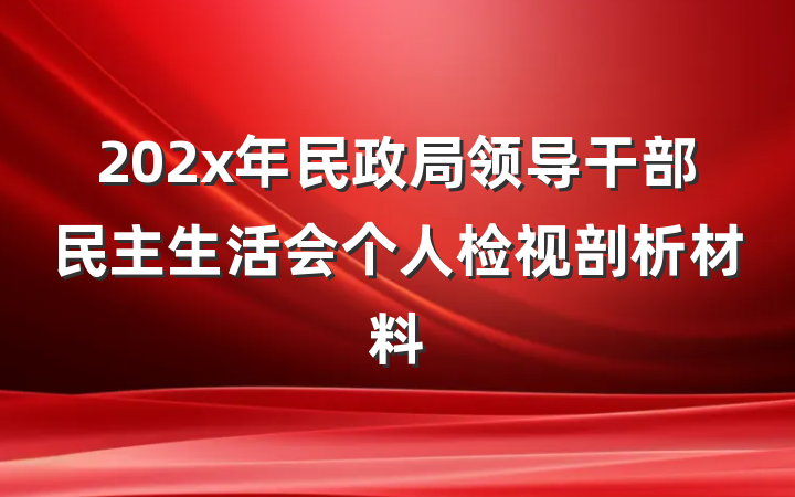202x年民政局领导干部民主生活会个人检视剖析材料