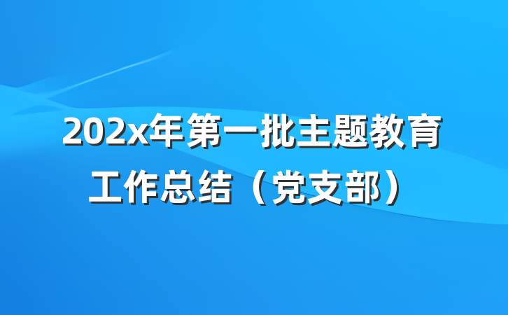 202x年第一批主题教育工作总结（党支部）