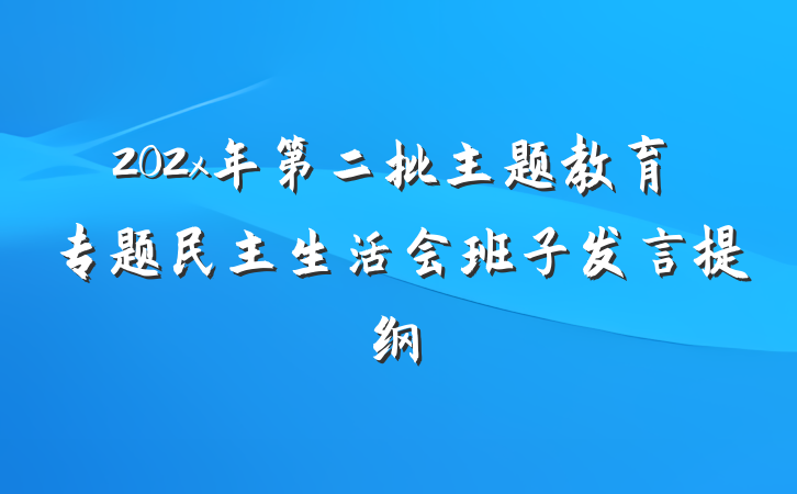 202x年第二批主题教育专题民主生活会班子发言提纲