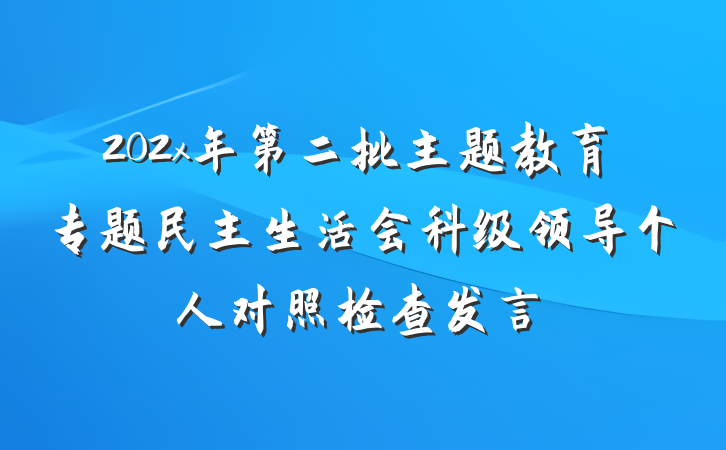 202x年第二批主题教育专题民主生活会科级领导个人对照检查发言