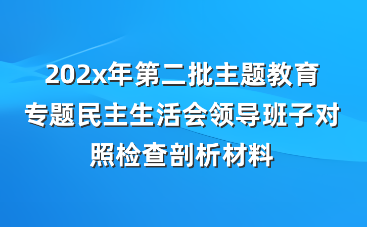 202x年第二批主题教育专题民主生活会领导班子对照检查剖析材料