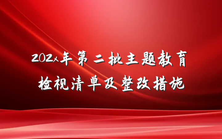 202x年第二批主题教育检视清单及整改措施