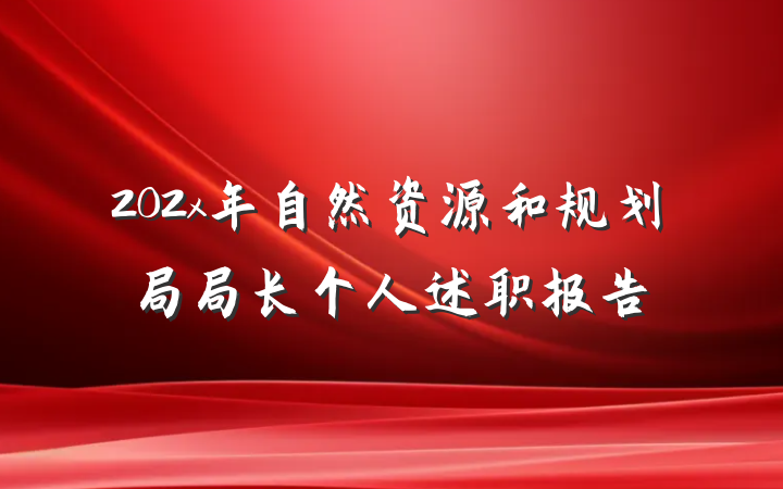 202x年自然资源和规划局局长个人述职报告