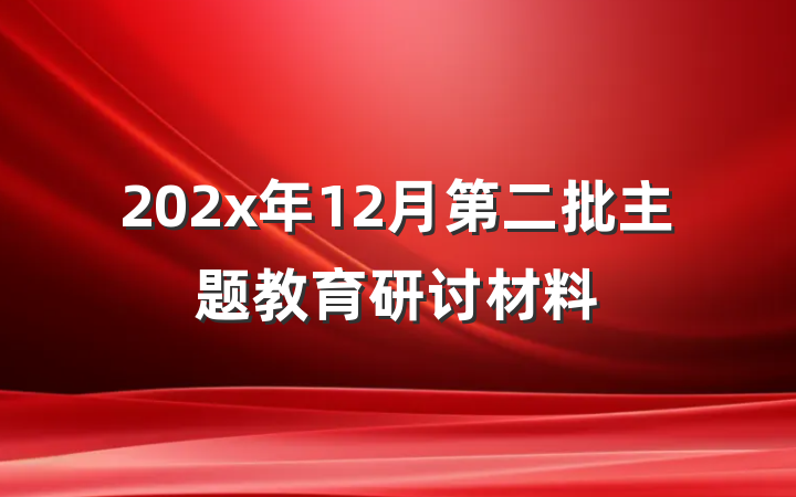 202x年12月第二批主题教育研讨材料