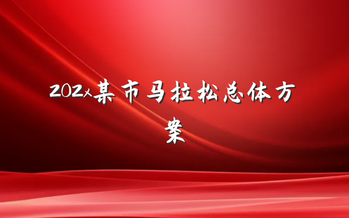 202x某市马拉松总体方案