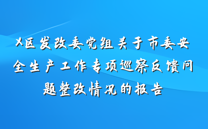X区发改委党组关于市委安全生产工作专项巡察反馈问题整改情况的报告