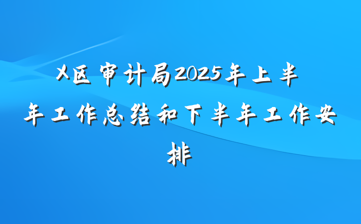 X区审计局2025年上半年工作总结和下半年工作安排
