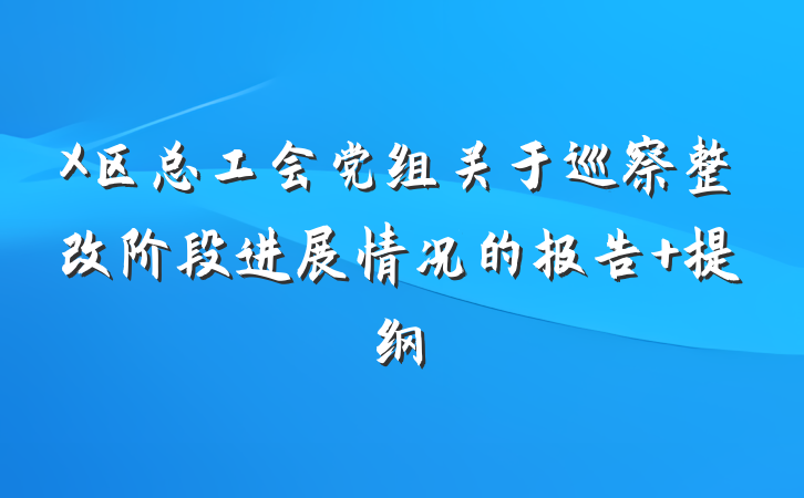 X区总工会党组关于巡察整改阶段进展情况的报告 提纲