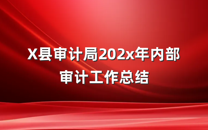X县审计局202x年内部审计工作总结